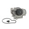 Dayco Water Pump, DP729 DP729 - alternate 1